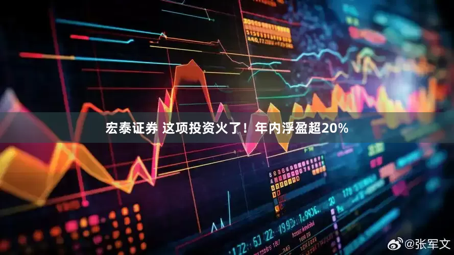 宏泰证券 这项投资火了！年内浮盈超20%