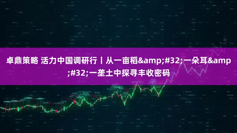 卓鼎策略 活力中国调研行丨从一亩稻 一朵耳 一垄土中探寻丰收密码