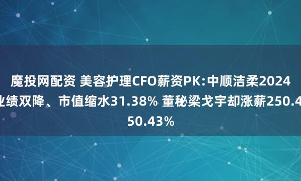 魔投网配资 美容护理CFO薪资PK:中顺洁柔2024年业绩双降、市值缩水31.38% 董秘梁戈宇却涨薪250.43%