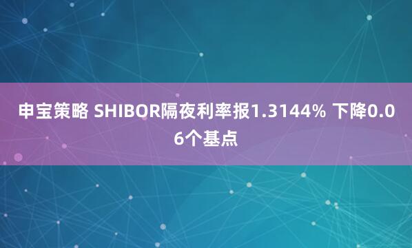 申宝策略 SHIBOR隔夜利率报1.3144% 下降0.06个基点